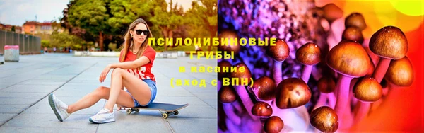 ГАЛЛЮЦИНОГЕННЫЕ ГРИБЫ Коряжма
