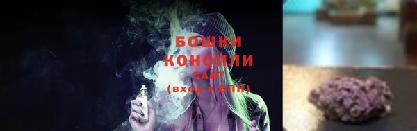 ГАЛЛЮЦИНОГЕННЫЕ ГРИБЫ Коряжма