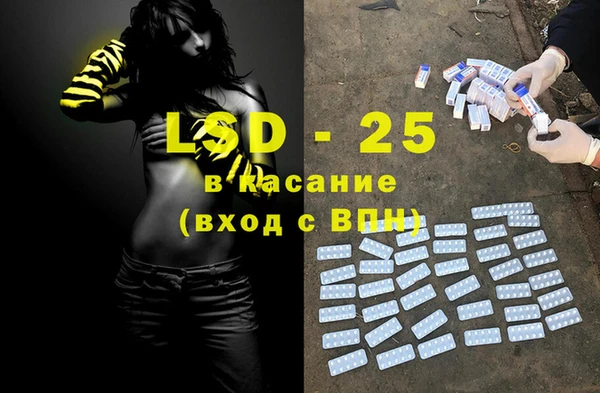 ГАЛЛЮЦИНОГЕННЫЕ ГРИБЫ Коряжма
