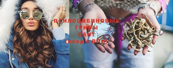 тгк Корсаков