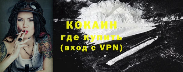 ГАЛЛЮЦИНОГЕННЫЕ ГРИБЫ Коряжма