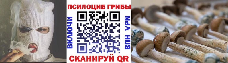 Купить закладки  Гай  Галлюциногенные грибы GOLDEN TEACHER 