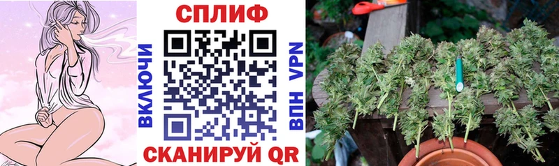 Бошки Шишки сатива  Купить закладки  Гай 